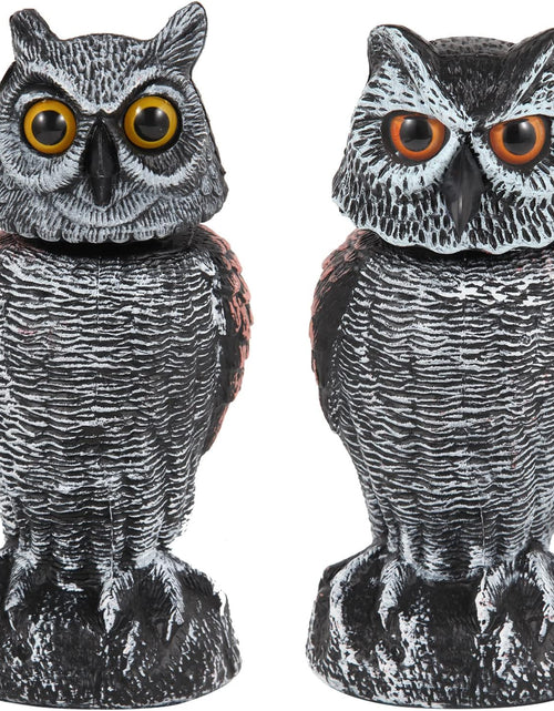 Load image into Gallery viewer, 2 Pack Fake Owl Decoys to Scare Birds Away from Gardens and Patios
