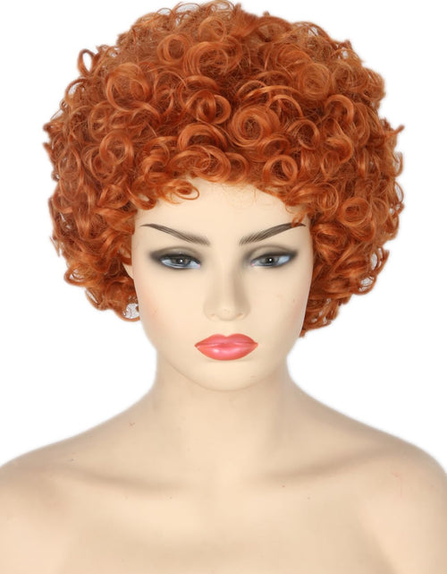 Load image into Gallery viewer, Reddish Brown Short Curly Afro Wig Halloween Costume Cosplay Party Wigs
