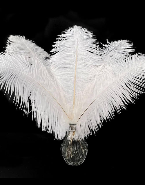 Load image into Gallery viewer, 20 pcs White Ostrich Feathers Plumes 10-12 inch(25-30 cm) Bulk for DIY Clothing and Accessories, White
