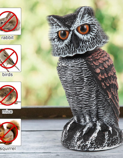 Load image into Gallery viewer, 2 Pack Fake Owl Decoys to Scare Birds Away from Gardens and Patios
