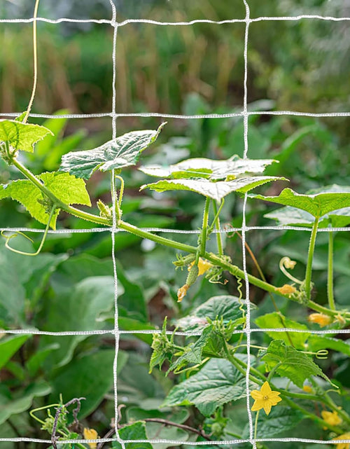 Load image into Gallery viewer, 1 PACK of (5ft X 30ft) Garden Trellis Net - Strong &amp; Durable Support
