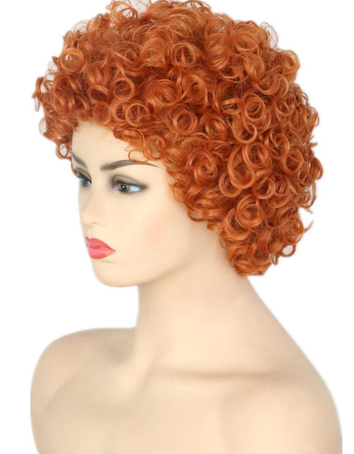 Load image into Gallery viewer, Reddish Brown Short Curly Afro Wig Halloween Costume Cosplay Party Wigs
