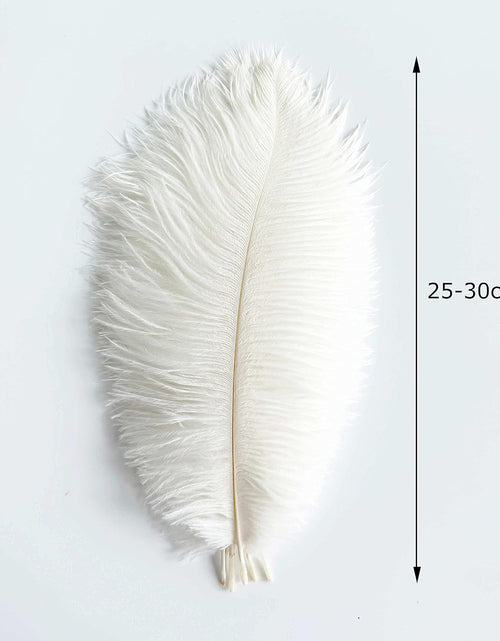 Load image into Gallery viewer, 20 pcs White Ostrich Feathers Plumes 10-12 inch(25-30 cm) Bulk for DIY Clothing and Accessories, White
