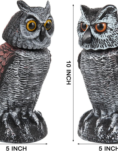 Load image into Gallery viewer, 2 Pack Fake Owl Decoys to Scare Birds Away from Gardens and Patios
