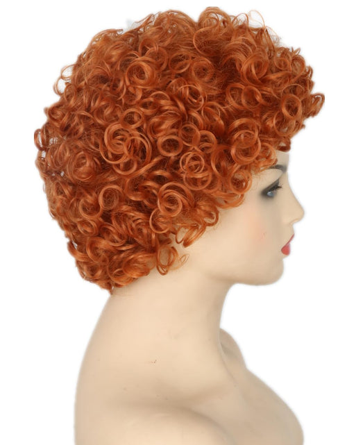 Load image into Gallery viewer, Reddish Brown Short Curly Afro Wig Halloween Costume Cosplay Party Wigs
