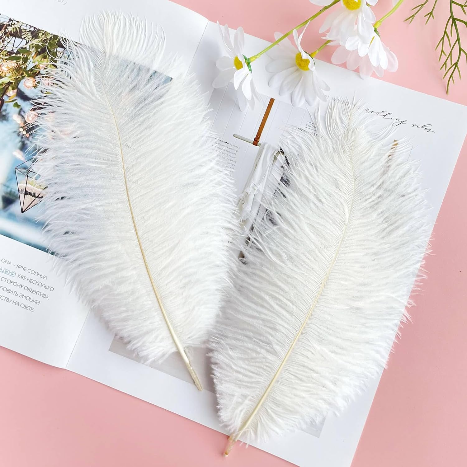 20 pcs White Ostrich Feathers Plumes 10-12 inch(25-30 cm) Bulk for DIY Clothing and Accessories, White