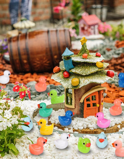 Load image into Gallery viewer, 200pcs Tiny Ducks 10 Colors Little Duck Figures Mini Resin Ducks Plastic Small Miniature
