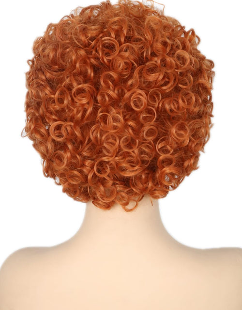 Load image into Gallery viewer, Reddish Brown Short Curly Afro Wig Halloween Costume Cosplay Party Wigs
