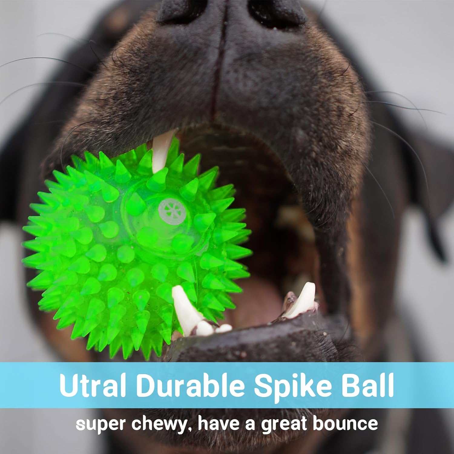 2.5” Dog Balls (8 Colors) Squeaky Dog Toy Balls for Small Medium Dogs, Puppy Chew Toys Balls