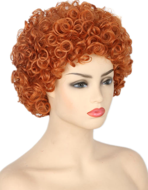 Load image into Gallery viewer, Reddish Brown Short Curly Afro Wig Halloween Costume Cosplay Party Wigs
