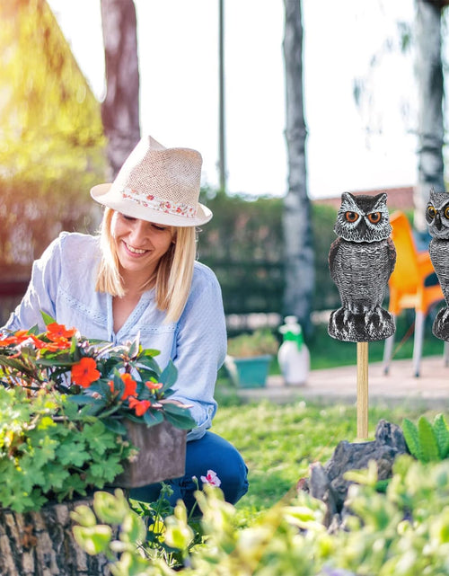 Load image into Gallery viewer, 2 Pack Fake Owl Decoys to Scare Birds Away from Gardens and Patios
