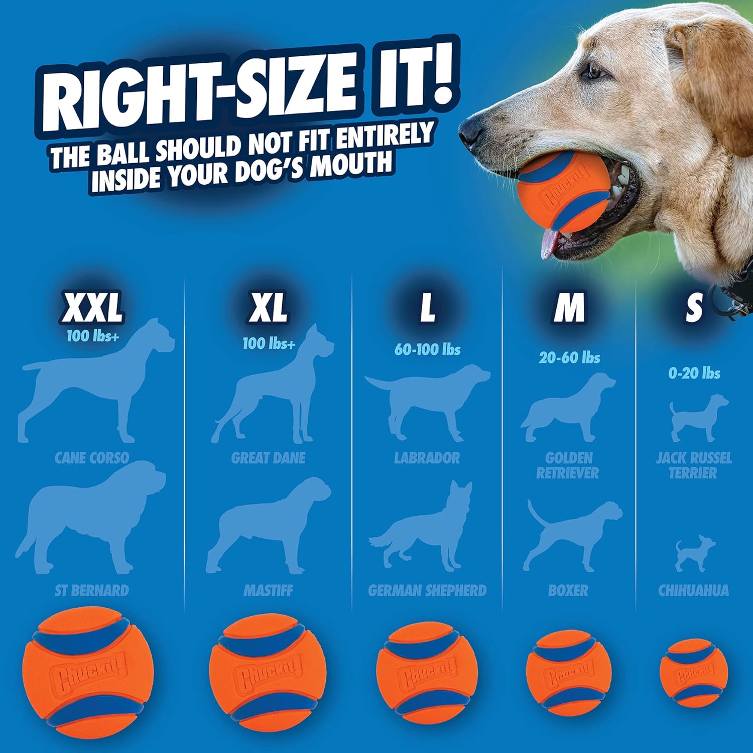 Ultra Ball Dog Toy, XL (3.5 Inch Diameter), Pack of 1, for breeds 100+ lbs